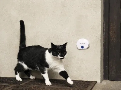 Cat Doorbell